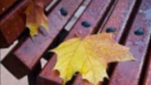 Кленовый лист