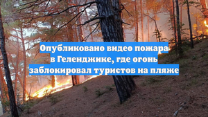 Опубликовано видео пожара в Геленджике, где огонь заблокировал туристов на пляже