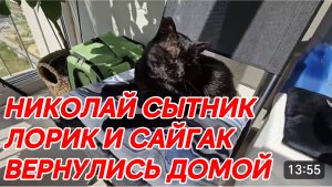 САМВЕЛ АДАМЯН, ГРАНДЕНИКО ВЛОГ, УЕЗЖАЮ В КИЕВ, СОБРАЛ ВЕЩИ, ЛОРИК И САЙГАК ВЕРНУЛИСЬ ДОМОЙ..