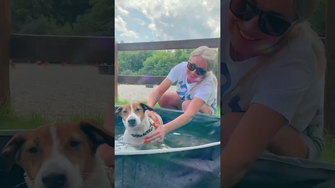 Бассейн для собак #shorts