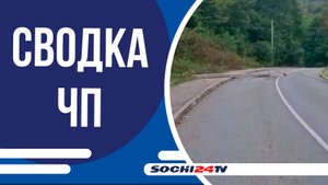 Бродячий пёс атаковал домашнюю собаку прямо на глазах хозяина | СВОДКА ЧП