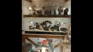 В гостях по Питеру