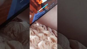 снова играю в 99 ночей в лесу побил свой Рекорд?