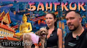 БАНКОГ 2025 ПУТЕШЕСТВУЕМ С СОБАКОЙ (VLOG 1)
