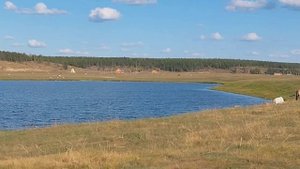 Лошади на берегу озера Тоһоҕо в с. Борогонцы.