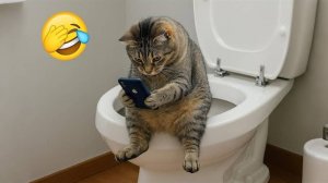 Новый самый смешной клип о кошках и собаках 2025 года😼🐶Попробуй не смеяться