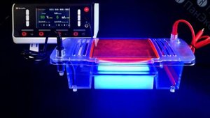 Камера для горизонтального электрофореза SVL-2, Servicebio