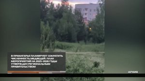 Медведей стало слишком много 27.08.2025