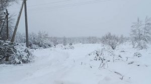 Зимний пейзаж