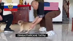 Вся суть внешней политики