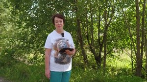 3627. Хлеб на каждый день. 1 сентября. Притчи 8:1-5