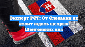 Эксперт РСТ: От Словакии не стоит ждать щедрых Шенгенских виз