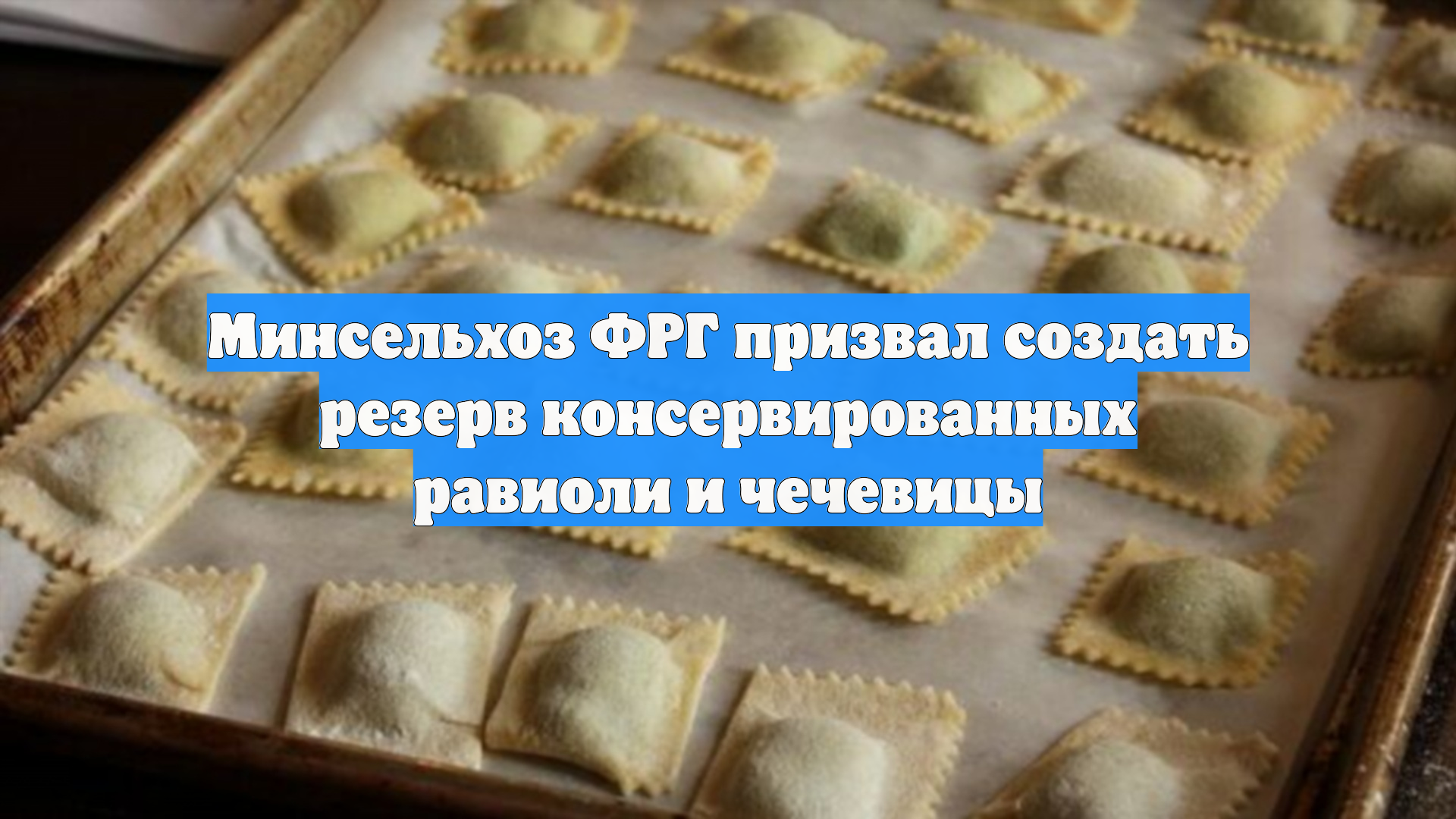 Минсельхоз ФРГ призвал создать резерв консервированных равиоли и чечевицы