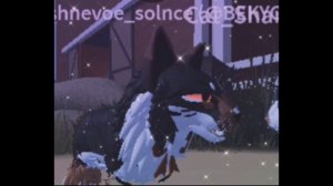 Wcue,роблокс,коты воители