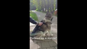 Снег в августе - это серьезно)