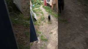 28-08-2025 Жизнь в деревне 😊