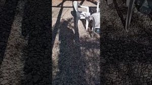 Мистерия Даров моря для пирамиды, в котороймы сеем эти Зерна Духа будущих урожаев дел. Универсолис