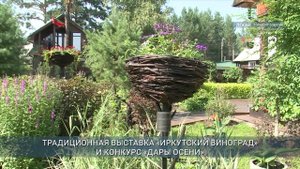 Фестиваль садоводов и огородников пройдет в Иркутске