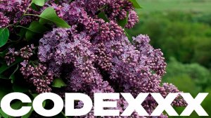 играем,разговариваем,смотрим