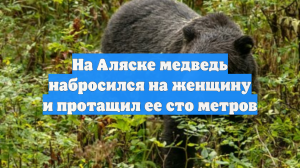 На Аляске медведь набросился на женщину и протащил ее сто метров