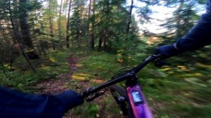 Тропа Чайная