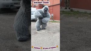 8.08.2025 г. Томск. "Сюрприз от коллег".