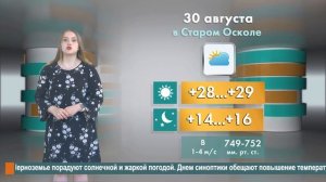 Погода в Старом Осколе на 30 августа