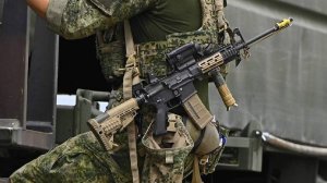 В Европарламенте оценили возможности ЕС отправить войска на Украину