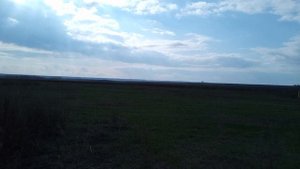 Идем по заброшенной Арсентьевке (Петровский район).