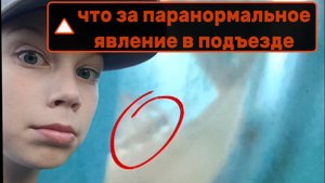 кот в глазке