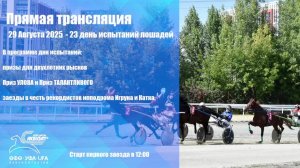 Прямая трансляция 29 августа 2025 - 23 день испытаний на ипподроме Акбузат.