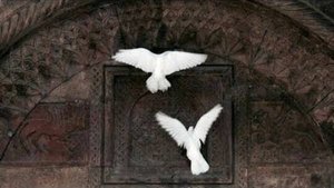 ИСПОЛНЕНИЯ ЖЕЛАНИЙ НА ЯЗЫКЕ ДУХОВ..ДЛЯ ВСЕХ...