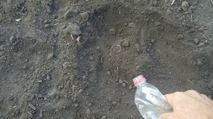 Не прячте Ваши денежки...