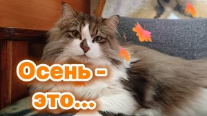Осень - это...