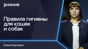 Грани смыслов | Елена Карпович | Правила гигиены для кошек и собак