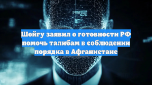 Шойгу заявил о готовности РФ помочь талибам в соблюдении порядка в Афганистане