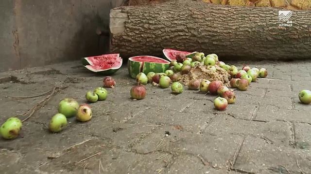 Соседи