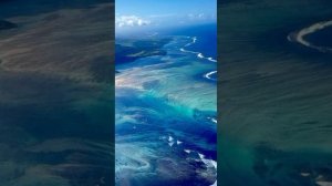 Жизненная дорога.