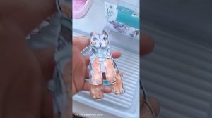 УРАааа ✨🌌я еду на дачу какие  Я собачек взяла ✨🌌спасибо за такой актив 🥰