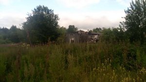 пятьдесят лет спустя