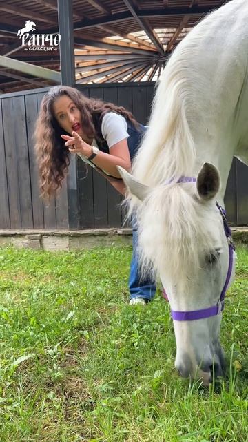 Хочешь говорить так, чтобы тебя слушали? Начни с понимания себя! смотреть онлайн