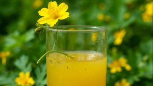 СРЕДСТВА И ТРАВЫ ПРИ ВИРУСЕ ПАПИЛЛОМЫ - ЭФФЕКТИВНЫЕ РЕЦЕПТЫ.