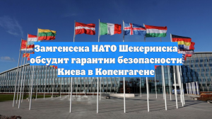 Замгенсека НАТО Шекеринска обсудит гарантии безопасности Киева в Копенгагене