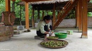 Harvesting Toad Fruit - How to Make Delicious Salted and Chili Toad Fruit . Trieu Mai Huong