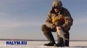 Игорь Уколов. Ловля леща на безнасадочную мормышку.
