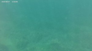 День 12 (27.08.25) - Турбаза Энергетик