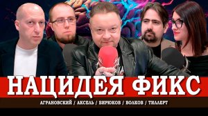 Народные думы, или Какая идея нужна России | Аграновский | Тиллерт | Волков | Аксель