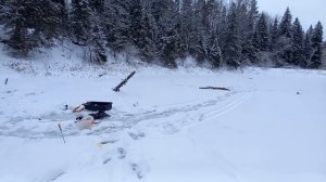РЫБАЛКА НА КОСЫНКИ НА ТАЕЖНОЙ РЕЧКЕ. ЭТА РЫБА НЕ ЛЕЗЕТ В ЛУНКИ.