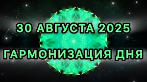 video-output-46F6185B-6824-4D30-90CA-EA93A57418D8-1