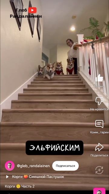 ПёСиК КоРгИ смотреть онлайн